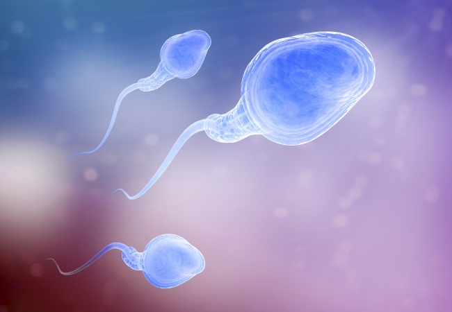 Исследование на гормонозависимое нарушение сперматогенеза